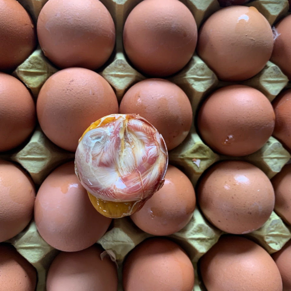 15580441929_358893629