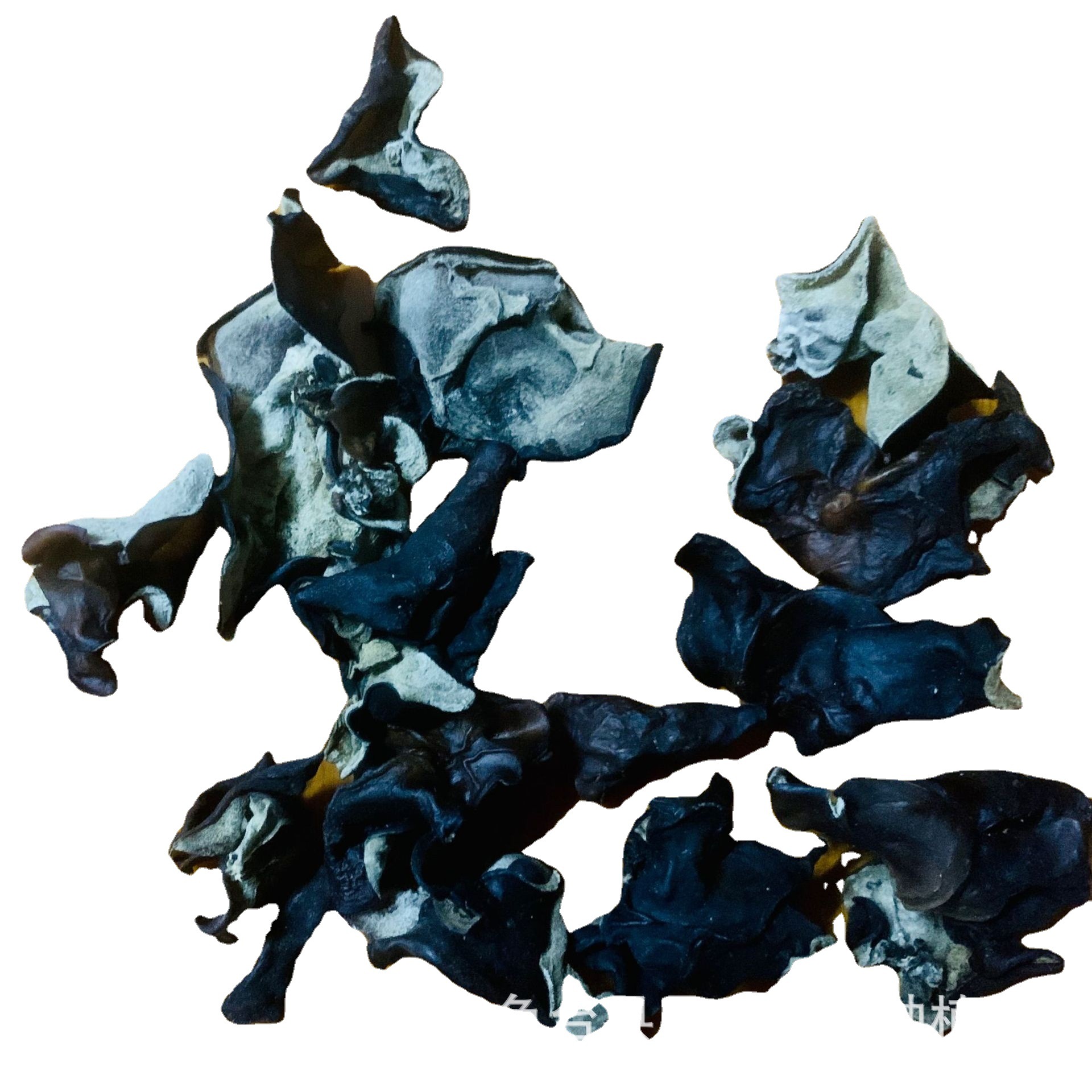 O1CN01ds9HMz1Bs2q38L6Zk_!!0-0-cib