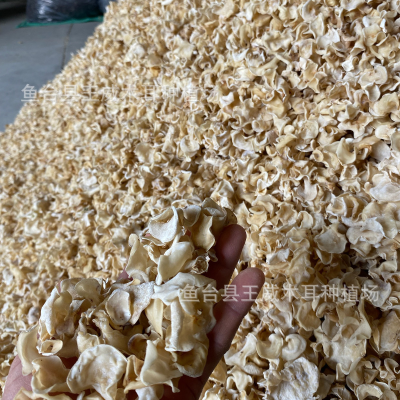 O1CN01Xf8moL2EV68gxQc0M_!!2214606218749-0-cib