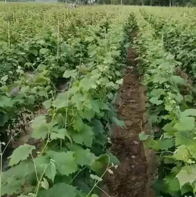 ScreenShot_2026-03-18_172959_613