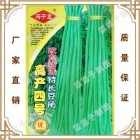 蔬菜種子 高鏟四號(hào)改良青選持長(zhǎng)豆角 陽臺(tái)爬藤果盆栽