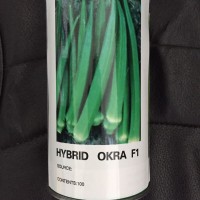 推薦-口感清爽適于鮮食黃秋葵-優(yōu)選進(jìn)口引進(jìn)細(xì)長(zhǎng)型水果秋葵種子