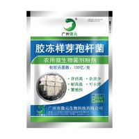 膠凍樣芽孢桿菌100億 農(nóng)用微生物菌劑膠質(zhì)芽孢桿菌解鉀菌肥料添加