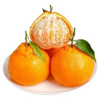 四川耙耙柑眉山春見耙耙柑應季新鮮水果非丑橘蒲江粑粑柑丑八怪