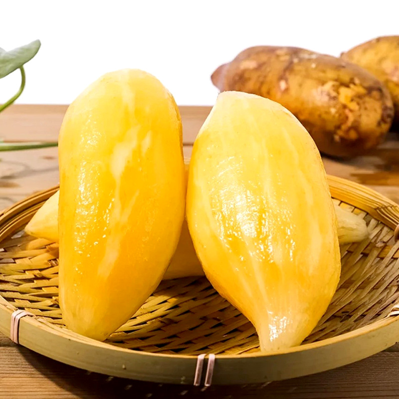 O1CN01LT0DeP1LSzUKJEKKF_!!2211002991299-0-cib