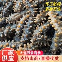 遼參廠家批發大連海參非干貨勁道口感鮮蒸即食500g遼刺參速食