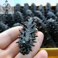 大連遼參50g深海底播刺參一件代發(fā)順豐包郵淡干海參大連海參免泡