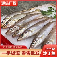新鮮沙丁魚批發(fā)當(dāng)天深海捕撈冷凍沙尖魚魚干海鮮水產(chǎn)酒店餐飲供應(yīng)
