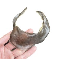 海味干貨 清水甲魚裙邊 水魚裙邊 甲魚邊龜板膠干貨批發500g