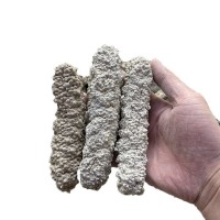 黃玉參海參水產干貨8-120頭王玉參海參批發 淡干刺王海參500克