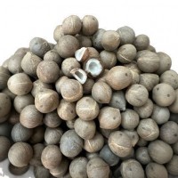 小海椰皇小椰子 去殼小椰皇迷你小海底椰椰奶甜品500克煲湯料批發