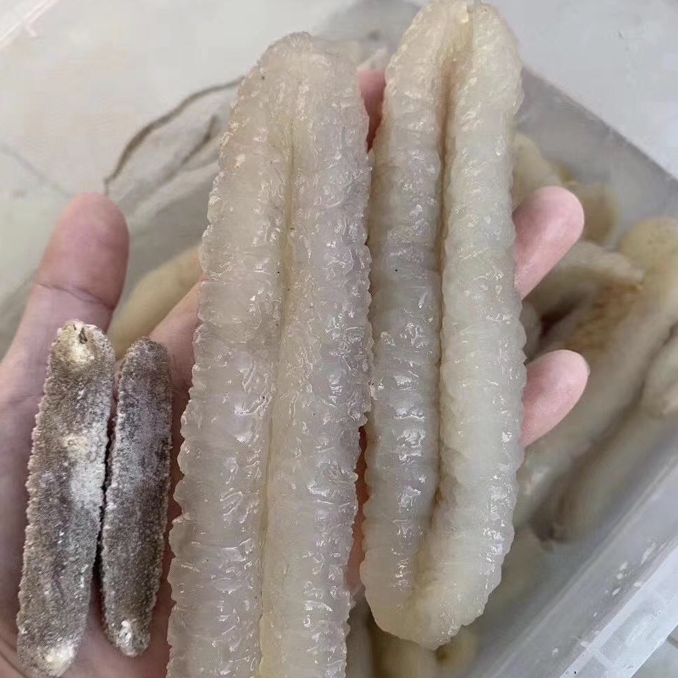 22211929271_896212122