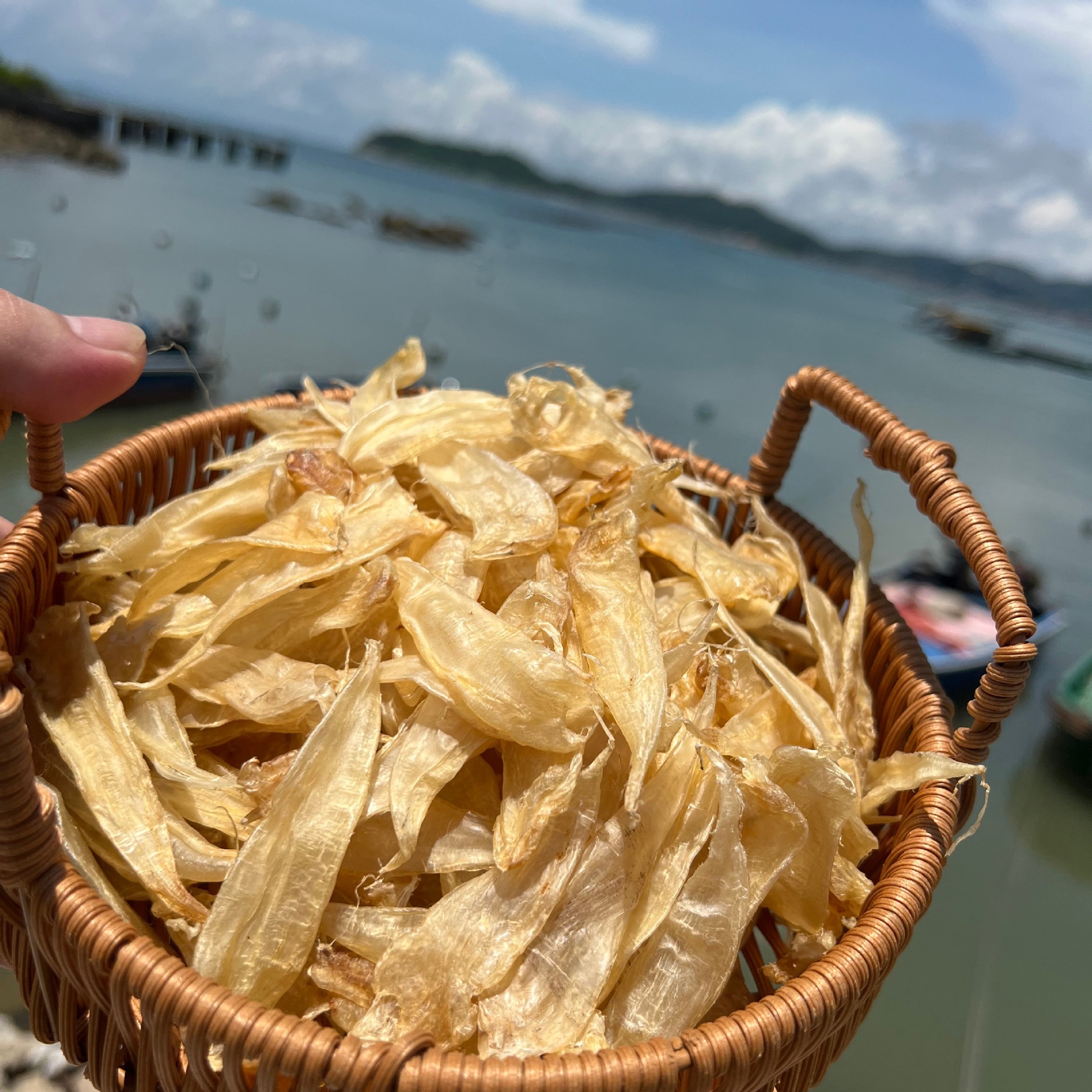 O1CN01n28wE51GAbbzYR5Wg_!!2220911040582-0-cib