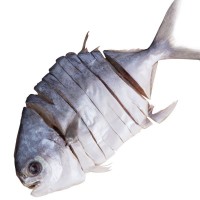 陽江湛江金鯧魚干淡曬金昌魚咸魚黃金倉魚海產品干貨農家自制魚干