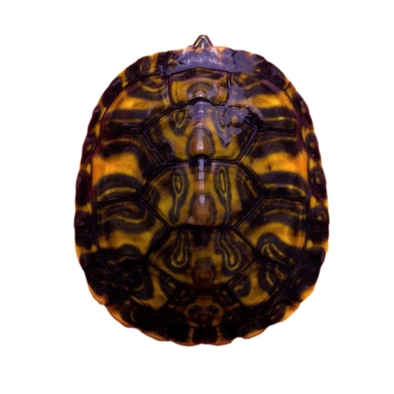 23563227129_876601574