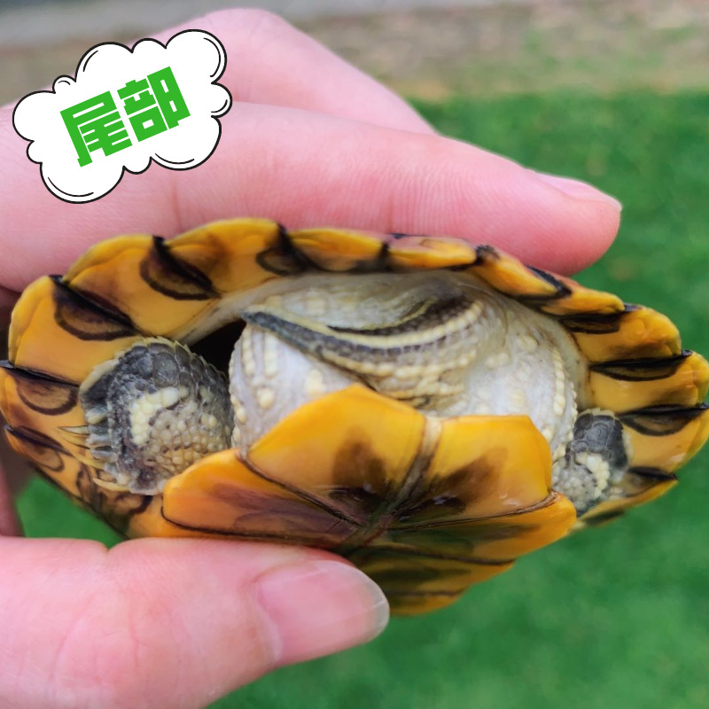 15895087850_876601574