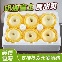 山東水果供應(yīng)代發(fā)煙臺(tái)蘋果黃金奶油富士整箱應(yīng)季新鮮水果蘋果批發(fā)