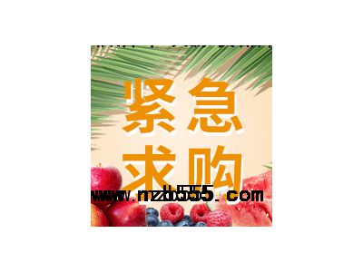 采購品種：茶樹苗
